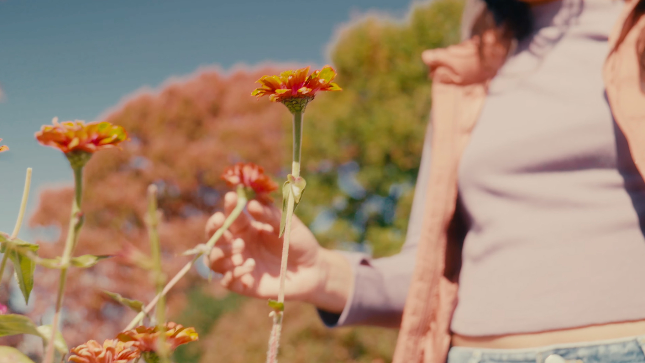 Situationship still 3